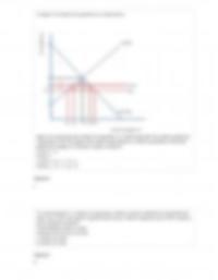 MicroEconomic 516 Homework