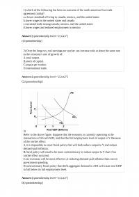 MicroEconomic 196 Final