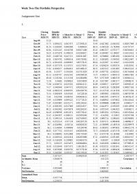 Week Two-The Portfolio Perspective