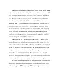 Gun Control The theory behind SNUG