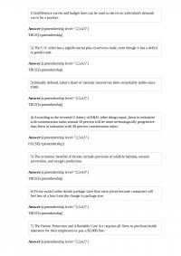 MicroEconomic 295
