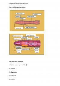 Biology 1408 Earthworm Worksheet