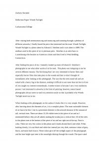 Reflection Paper: Woods Twilight