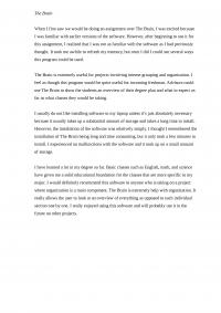KINE 240 The Brain Essay