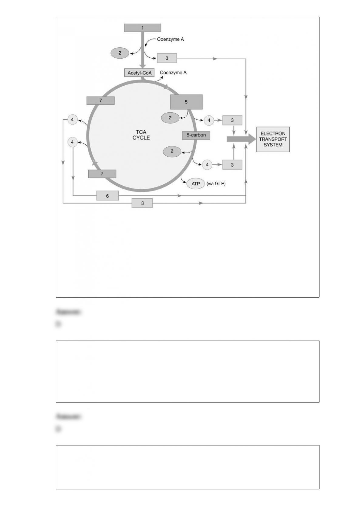 page-pf2