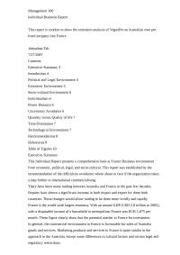 Individual Business Report – The Extension Analysis of VeganPet