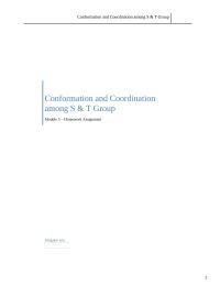 Conformation and Cordination in S&T group