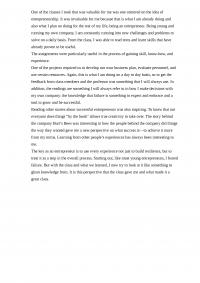 Entrepreneurship essay