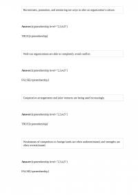 MGMT 557 Final