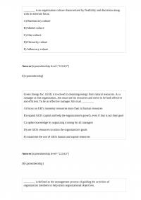 MGT 407 Quiz 1