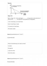 Economics 509 Quiz