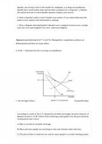 MicroEconomic 677 Final