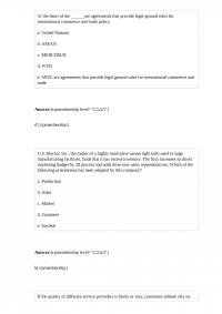 MGMT 666 Quiz 3