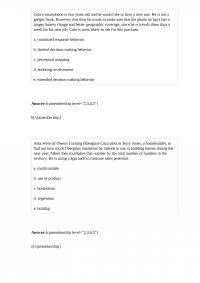 BUSMKT 311 Quiz 2