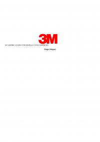 3m cases