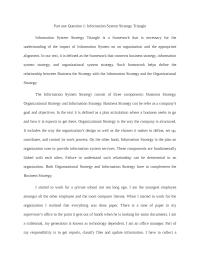 ISM final paper