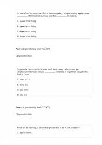 FIN 369 Quiz 2