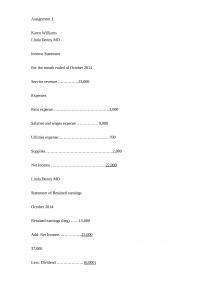 Accounting Assignment 1
