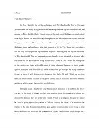 Final Lit Paper