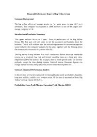 financial performance analysis of big yellow