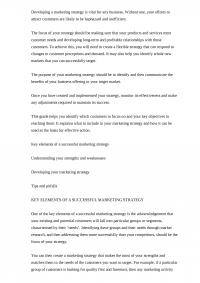 Marketing Strategy Developing a