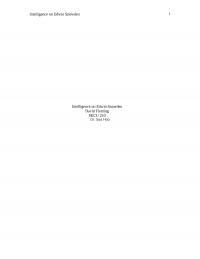 Snowden Essay