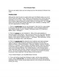 Analysis Paper