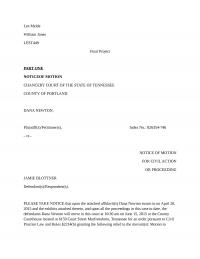 Legal Writing