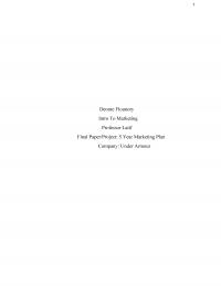 5 Year Marketing Plan
