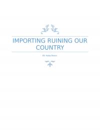 Importing Ruining our Economy