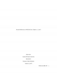 Personal Reflection On MIS300 Class