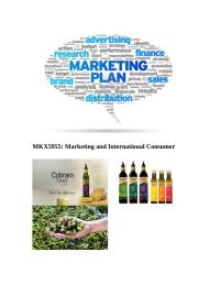 Mkx 5955 Marketing Plan