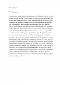 Political debate essay