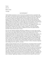 Advertisement Essay