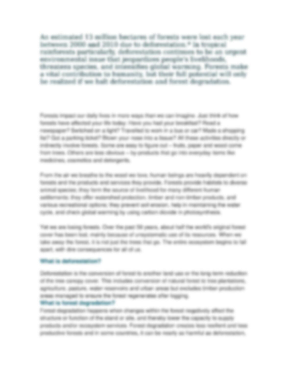 No homework policy essay brainly image