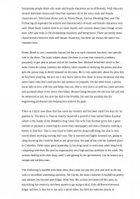 Essay on Prison Break