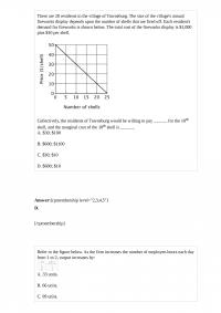 MicroEconomic 53287