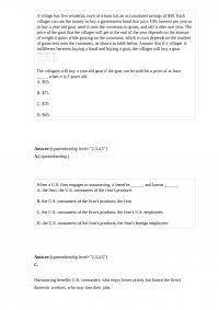 MicroEconomic 87037