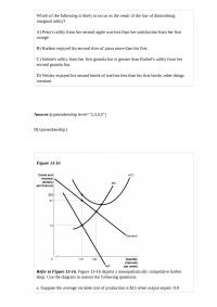 MicroEconomic 29831