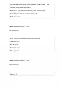 ECON 31387