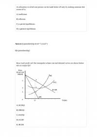 ECON A 25127