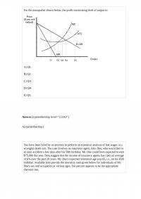 Economics 91799