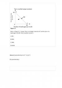 Economics 28114
