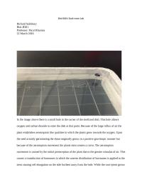 Plant Lab Experiment