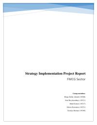Strategy Implementation Project Report