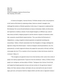 American Insurgents, American Patriots Essay