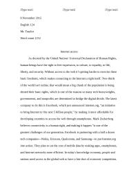 Fallacy Essay: Internet Access