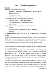 Apuntes Membrana