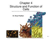 Psych 210 Chapter 4Structure and