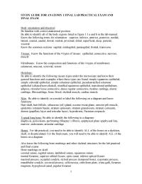 Anatomy And Physiology